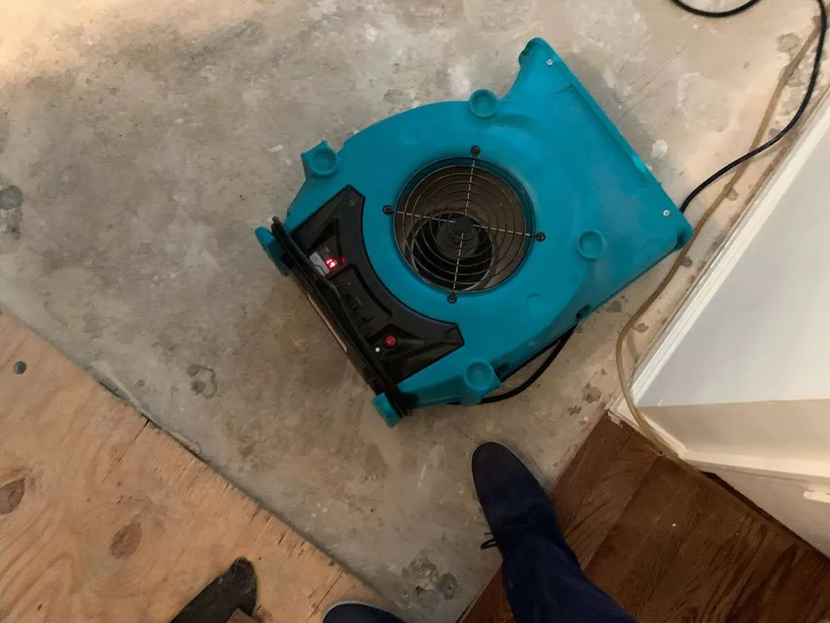 Air mover drying subfloor during Leak Detection & Repair in Palmyra